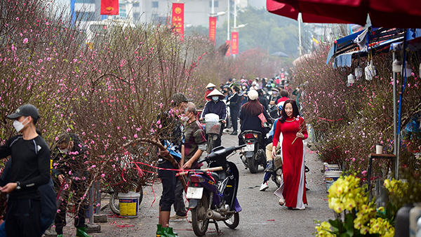 Không khí ngày Tết