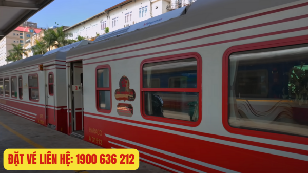 Vé tàu Hoa Phượng Đò cho sinh viên